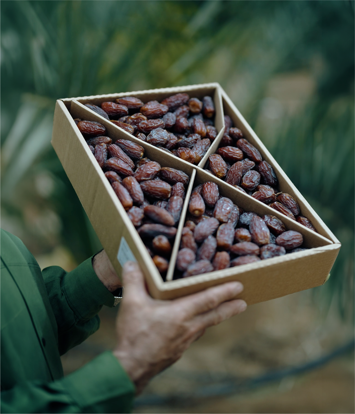 ali date feature card 03